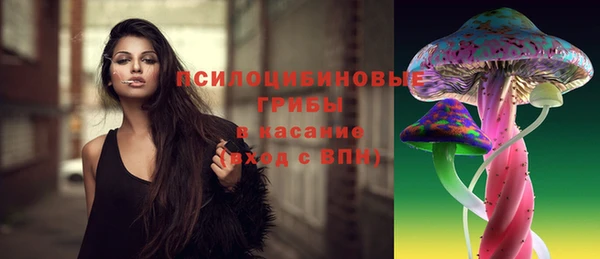 прущие грибы Аркадак