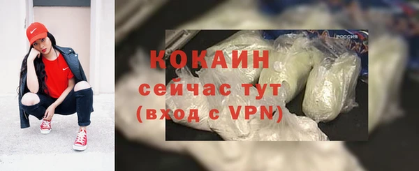 прущие грибы Аркадак