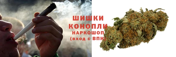сатива Армянск