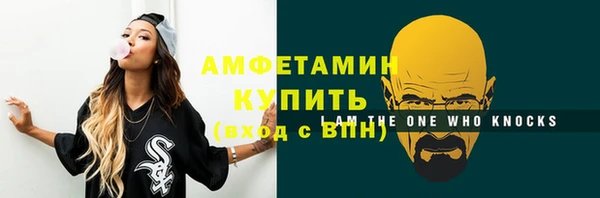 сатива Армянск