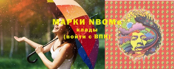 прущие грибы Аркадак