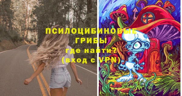 прущие грибы Аркадак