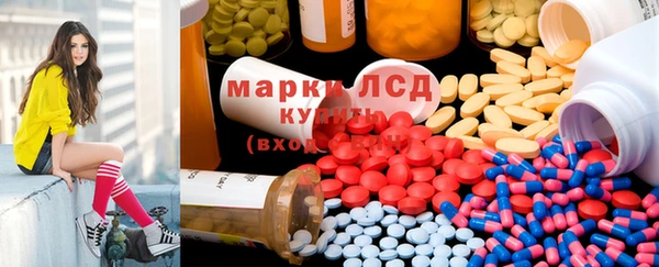 прущие грибы Аркадак
