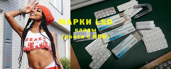 прущие грибы Аркадак