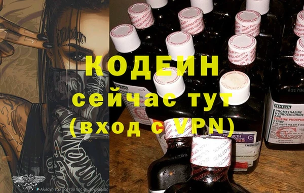 прущие грибы Аркадак
